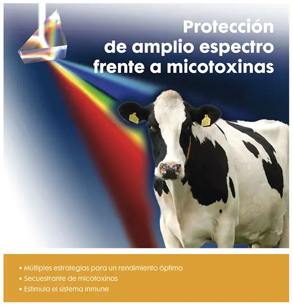 TOXO® mycotoxin control