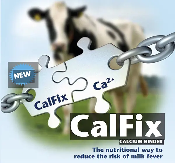 CalFix