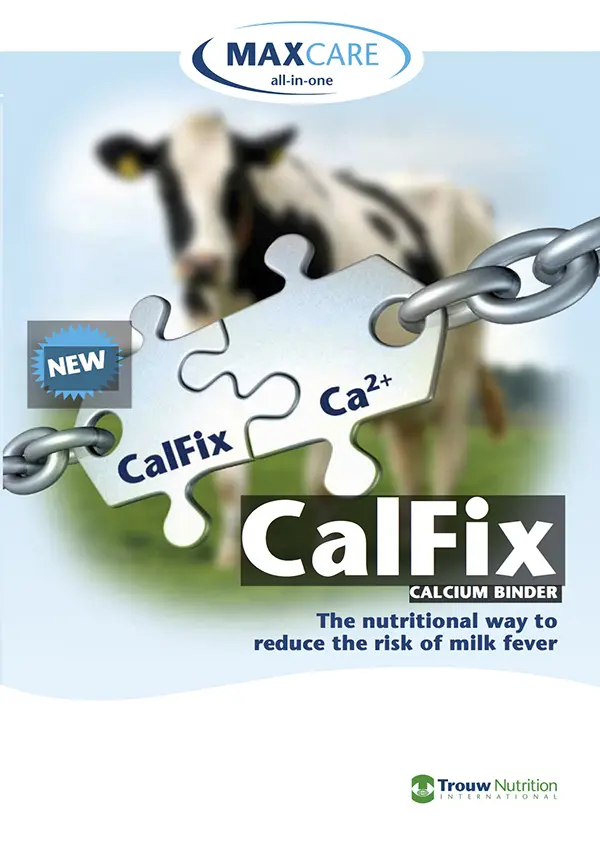 CalFix - Imagen 3